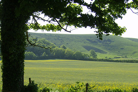southerly-view-from-firle-room-may2008